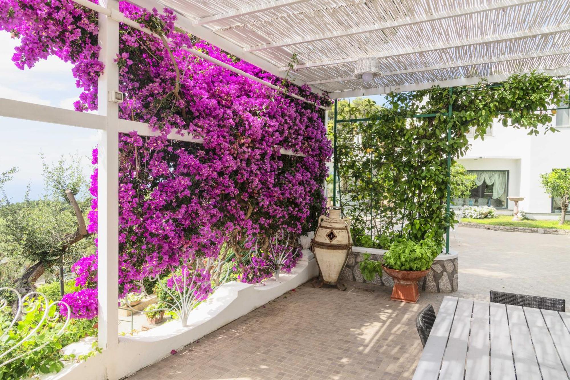 La Canostra Capri - Luxury Room Ad Anacapri Dış mekan fotoğraf